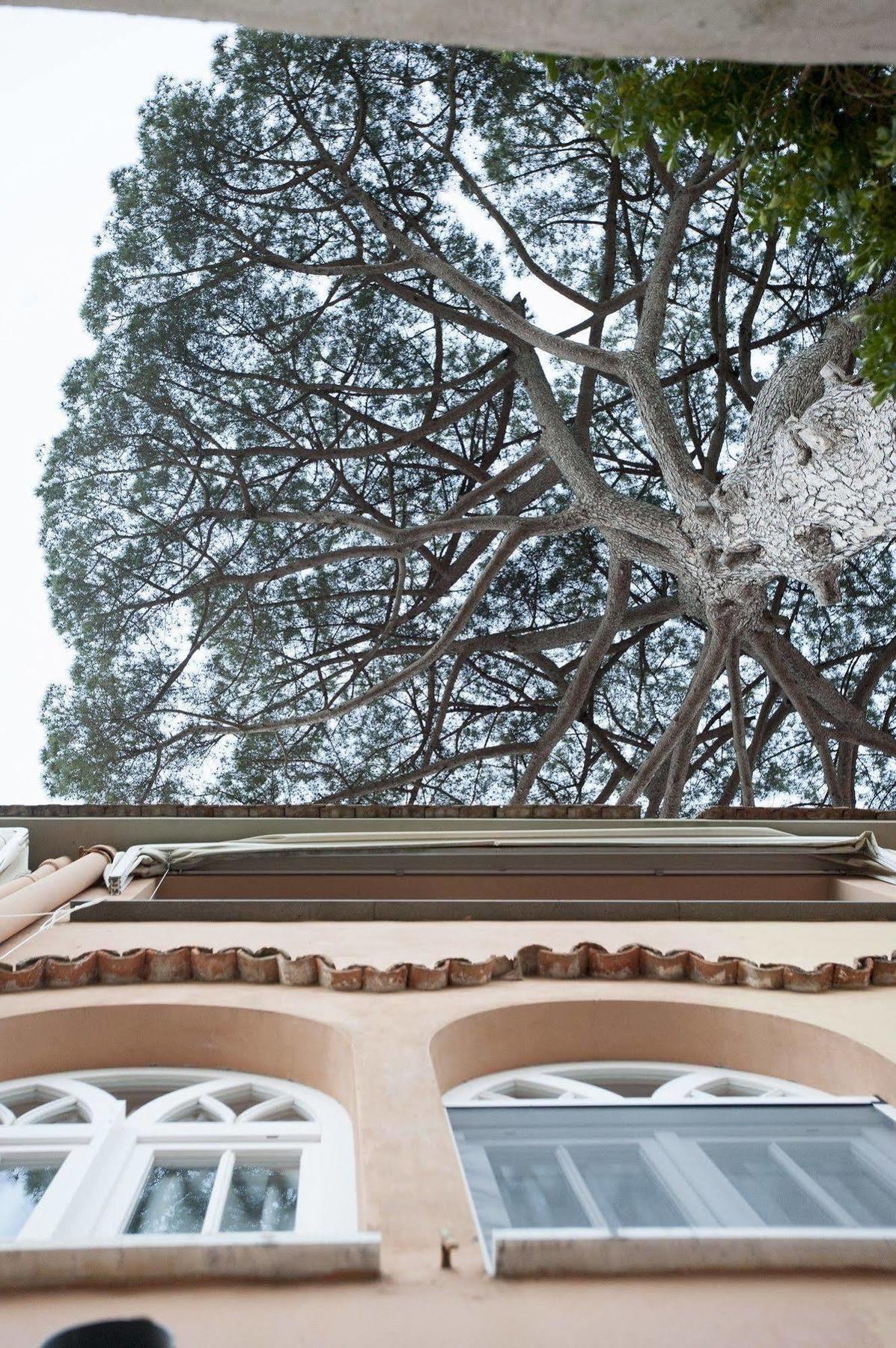 La Casa Di Carla Appartement Ravello Buitenkant foto